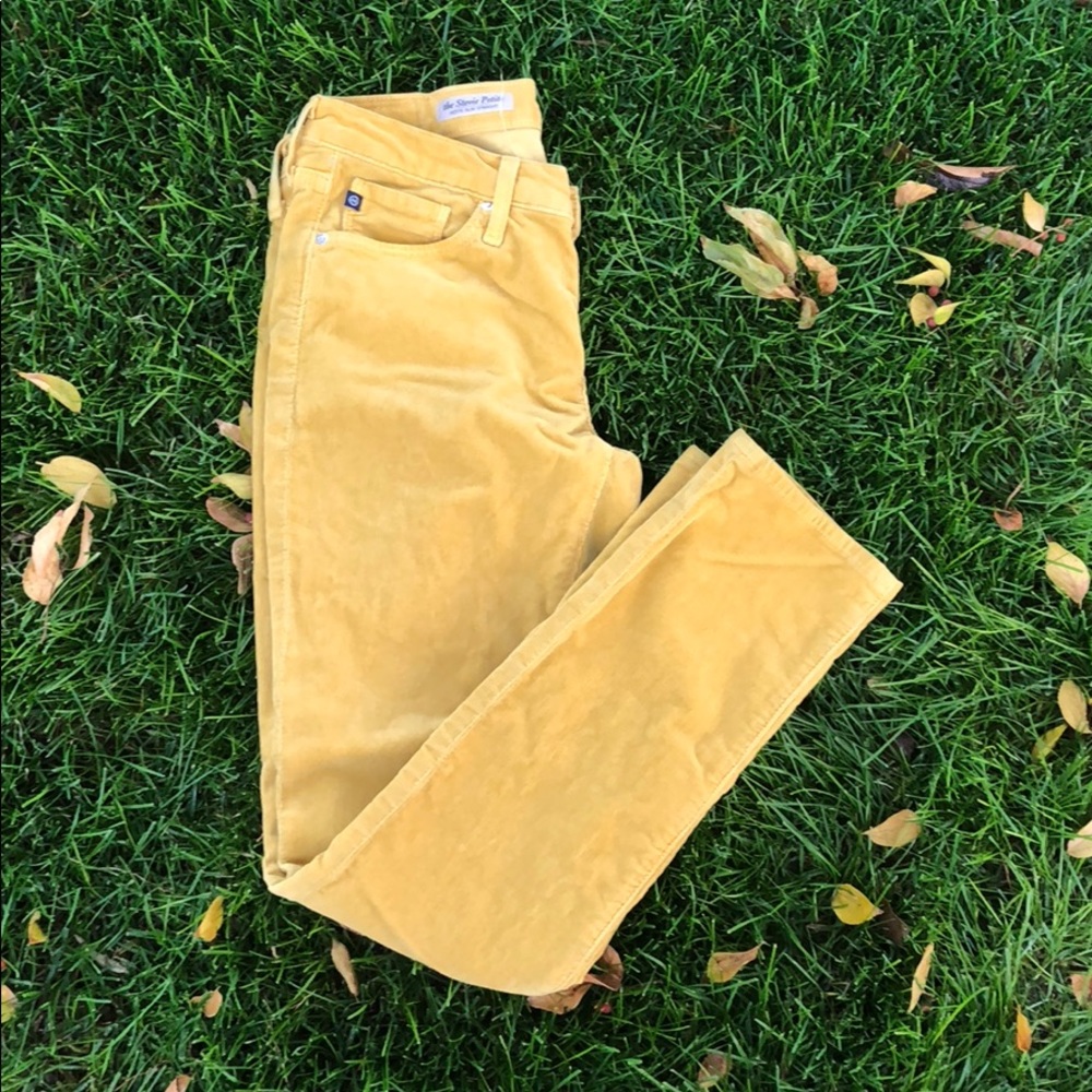 Adriano Goldschmied corduroy skinny pants